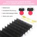 Buy Flat Lashes 0.15 & 0.20 | Ellipse Flat Lash Extensions | C CC D DD Curl | Matt Black 8-15mm Mix - Buy Online on GoSupps.com