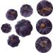 HOMSFOU 10 Pcs Flannel Foam Pumpkin Artificial Pumpkins Bulk Thanksgiving Decor Craft Pumpkins Pumpkin Artificial Faux Pumpkin Decor Fall Decorations Home Party Photo Prop Set Halloween Greyx2pcs 14X12.5X12.5CMx2pcs - Buy Online on GoSupps.com
