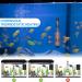 RuikDly 200W Adjustable Aquarium Heater - Waterproof Thermostat for 30-200L Fish Tanks Suction Cup Design International Shipping - Buy Online on GoSupps.com