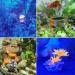 Smandy Large Artificial Coral & Silicone Plants for Fish Tanks | Aquarium Decorations - Buy Online on GoSupps.com