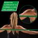TheraBand Resistance Band 6 Yard Roll - Green Heavy | Professional Latex Elastic Band for Physical Therapy, Pilates, Home Workouts - Buy Online on GoSupps.com