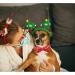 Shop Lionheart Glory Christmas Dog Hall Band - Adjustable Soft Loop Collars for Small Dogs | Festive Red Neck Straps - Buy Online on GoSupps.com