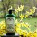 Bates Family Farm Goat Milk Tea Tree Lotion 8 oz - Hydrating Shea Butter Blend with Essential Oil - Buy Online on GoSupps.com