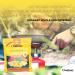 OvaEasy Dehydrated Egg Crystals 4.5oz (128g) Bag - All-Natural Powdered Eggs for Camping & Backpacking - Buy Online on GoSupps.com