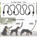 Premium Adjustable Dog Leash for Large & Medium Dogs | 3m1 with Reflective Stripes & Double Linen Reinforcement - Buy Online on GoSupps.com