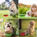 Vivifying 1000ml Foldable Dog Bowl Set - 2PCS Silicone Travel Bowls for Dogs & Cats (Red+Green) - Perfect for Pet Feeding & Travel - Buy Online on GoSupps.com