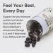 FOREST REMEDIES Elderberry Immune Support + Vegan Omegas | Plant-Based with Omega 3-6-9 | Gluten-Free & Non-GMO Soft Gels - Buy Online on GoSupps.com