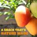 Dried Mango Slices - Soft, Juicy, Low Sugar, Gluten-Free, Natural Source of Vitamin C & Fiber (8 oz. x 6 Pack) - Buy Online on GoSupps.com