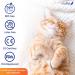 VIVELLE Handheld Inhaler Spacer for Pets - Cat and Dog MDI Inhaler Spacer - Buy Online on GoSupps.com