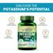 Organic Potassium Citrate 800mg Supplement | Muscle Joint & Bone Health | Good for Men & Women - 120 Veg Tablets - Buy Online on GoSupps.com