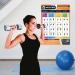 Shoulders Exercise Poster for Full Workout Strength Training | Laminated A2 Size for Gym & Home | Online Video Support | Improve Personal Fitness - Buy Online on GoSupps.com
