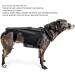 Back Bracer for IVDD in Dogs Dog Back Brace for Dogs Arthritis Spinal Surgical Recovery Herniated Disc Slipped Disc Rehabilitation Adjustable Back Support Back Protector (L) - Buy Online on GoSupps.com