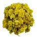 AgoraMarket Eternal Immortal Helichrysum Dried Flowers 85g - 1.95kg (460g)