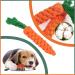 Zeaying Carrot Dog Toys - 2 Piece Braided Rope Set for Small & Medium Puppies | Chicken Stuffed Toys - Buy Online on GoSupps.com