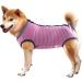Wound Protective Coat for Dogs & Cats | Postoperative Vest for Pets | Abdominal Wound Protection - Size S Gray - Buy Online on GoSupps.com