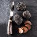 Gourmet Black Truffle Carpaccio - Thin Shaved Slices in Extra Virgin Olive Oil (12.8 Oz) - Buy Online on GoSupps.com