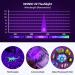 MOWETOO UV Torch LED Torch 2 in 1 Black Light with 4 Modes Waterproof 395nm UV Light Super Bright 500lm for Inspection Pet Urine Detecting Camping Including Accessories 3 AAA Batteries LE-8613d 1 Pack - Buy Online on GoSupps.com