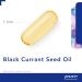Pure Encapsulations Black Currant Seed Oil 500mg - 100 Softgel Capsules - Buy Online on GoSupps.com