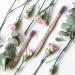 Buy Humble Brush Bamboo Toothbrush - Eco-Friendly & Sustainable Oral Care | International Shipping Available - Buy Online on GoSupps.com