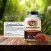 Reishi Mushroom 500mg Extract Tablets - 30% Polysaccharides - Natural Mushroom Complex for Overall Wellbeing and Immune System Support - 30 Count - Buy Online on GoSupps.com