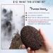 Volcanic Lava Pumice Stone - Natural Foot Callus Remover - Buy Online on GoSupps.com