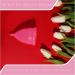 Femme Essentials Menstrual Cup - Discreet Hygienic & Eco-Friendly - Medical Silicone Satin Bag & German Manual - Pink (L) - Buy Online on GoSupps.com