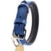 Sniffing fans collar for dogs made of leather dog collar for the large medium and small dog leather collar padded robust (m - 28-36cm blue) m - 28-36cm blue