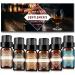 Mens Essential Oils Set - TOP 6 Gentlemen's Fragrance Oil for Diffuser, Candle & Soap Making - Sandalwood, Cologne, Black Cedar, Leather, Sweet Tobacco, Bay Rum Essential Oil Kit for Men (10mL)
