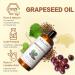 MAYJAM Organic Coconut Oil Liquid and Organic Natural Moisturizer Grapeseed Carrier Oil for Essential Oils Facial Oil 16 fl oz - Buy Online on GoSupps.com