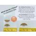 NipEaze Transparent Nipple Protectors - Value Pack (62pairs .75inch or 50pairs 1inch) - Chafing Prevention Regular - Buy Online on GoSupps.com
