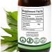 Pure Natural Liquid Chlorophyll Drops by NobleAid - Detox, Odor Neutralizer, Energy Booster - Vegan and Gluten-free Mulberry Supplement - 2 Fl oz - Buy Online on GoSupps.com