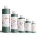 Tunisian Frankincense Fragrance Oil - 0.33 Fl Oz Roll On | Premium Aromatherapy Essence - Buy Online on GoSupps.com