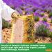 Antonio's 500g Raw Certified Organic Lavender Honey - Pure Natural Honey/The Raw Honey Shop - Buy Online on GoSupps.com