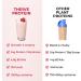 Plant-Based Protein | Vegan Protein Powder Strawberries & Cream | Thrive Protein | 1kg (30 servings) Strawberries & Cream 1 kg (Pack of 1) - Buy Online on GoSupps.com