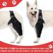 NeoAlly Dog Elbow Brace Protector Pads for Canine Elbow and Shoulder Support - XL Pair Provides Support Comfortable Suitable for Small S Black/60x47cm/23.6x18.5in - Buy Online on GoSupps.com