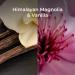Botanica by Air Wick Plug in Scented Oil Starter Kit 1 Warmer + 1 Refill Himalayan Magnolia and Vanilla Air Freshener Essential Oils - Buy Online on GoSupps.com