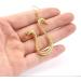 Buy Zaky Zoro Earrings | Anime One Piece Boa Hancock Cosplay Accessories | Charming Snake Earrings for Women 12 Pieces - Buy Online on GoSupps.com