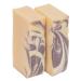 Goat Milk Stuff Goat Milk Soap - BLACK RASPBERRY | Made with Farm-Fresh Goat Milk  Goat Milk Soap for Face - Leaves Skin feeling Renewed and Natural - Handmade (Box of 2) Black Raspberry 2 Count (Pack of 1)