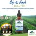 Pure Mountain Botanicals Liquid Echinacea Drops Kosher Tincture Alcohol Free Extract - 500mg Organic Echinacea -1oz Bottle - Buy Online on GoSupps.com