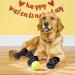 Rypet Anti Slip Dog Socks 3 Pairs - Dog Grip Socks with Straps for Indoor Traction Control - Paw Protector for Small Medium Large Dogs - Buy Online on GoSupps.com