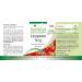 Fairvital | Lycopene 5mg - box of 3 months - VEGAN - Highly dosed - 90 capsules - from tomato extract - Buy Online on GoSupps.com