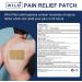 WILD+ Back Pain Patches Large - 12 Patches | Maximum Strength Relief for Back, Shoulder, Knee, Neck & Joint Pain | Fast Acting & Long Lasting - Buy Online on GoSupps.com