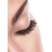 Rubis Stainless Steel Eyelash Curler - Precision Curling & Shaping Swiss Made | International Shipping - Buy Online on GoSupps.com