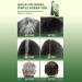 Generic Plants Hair Color | Plant Hair Dye Cream | Natural Head Dye | Silky and Nourishing Hairs Coloring for Men and Women Perfect Gifts for Stylish Persons Suitable for Kids Toddler and Adults - Buy Online on GoSupps.com