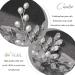 Casdre Crystal Bride Wedding Hair Pins - Silver Rhinestone Pearl Bridal Accessories (Pack of 2) - Buy Online on GoSupps.com