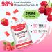 200MG Magnesium Glycinate Gummies, High Absorption Magnesium Glycinate Supplements for Relaxation, Raspberry Flavor 60 Count - Buy Online on GoSupps.com