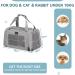 Petsfit Transport Box - Foldable Pet Carrier for Cats & Small Dogs | Portable Travel Bag with Shoulder Strap & Expandable Bed Inlay | Large Gray - Buy Online on GoSupps.com