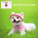 Adjustable Dog Sonnen Hat - Baseball Cap with Ear Holes for Sun Protection - Perfect Summer Outdoor Cap for Small Dogs Puppies & Cats in Pink - Buy Online on GoSupps.com