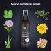 VIKICON Shield Beard & Hair Heat Protectant Spray - Prevent Damage & Breakage - Buy Online on GoSupps.com