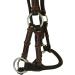 Thor Equine Dark Brown Sidepull with Round Noseband - Full Size for Superior Comfort & Control - Buy Online on GoSupps.com